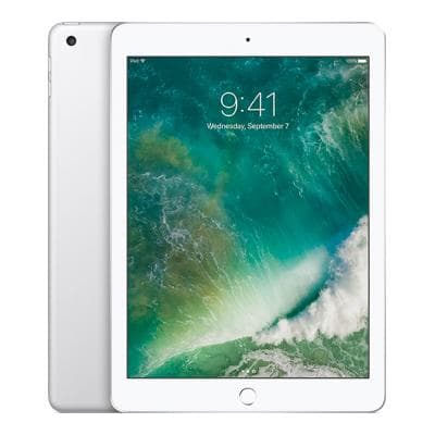 iPad 9.7 5th Gen (2017)
