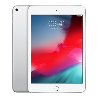 iPad Mini 5th Gen (2019)