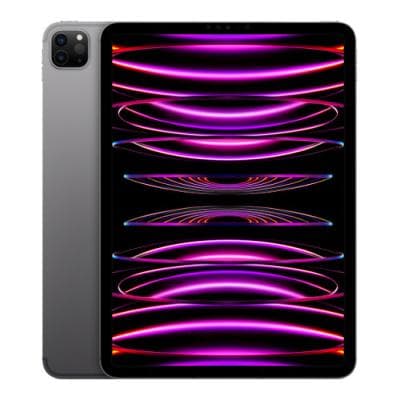 iPad Pro 11 4th Gen (2022)